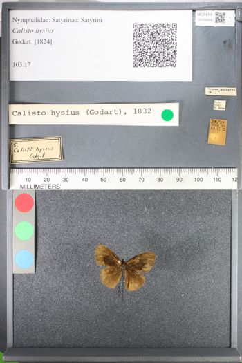 Media type: image;   Entomology 102605